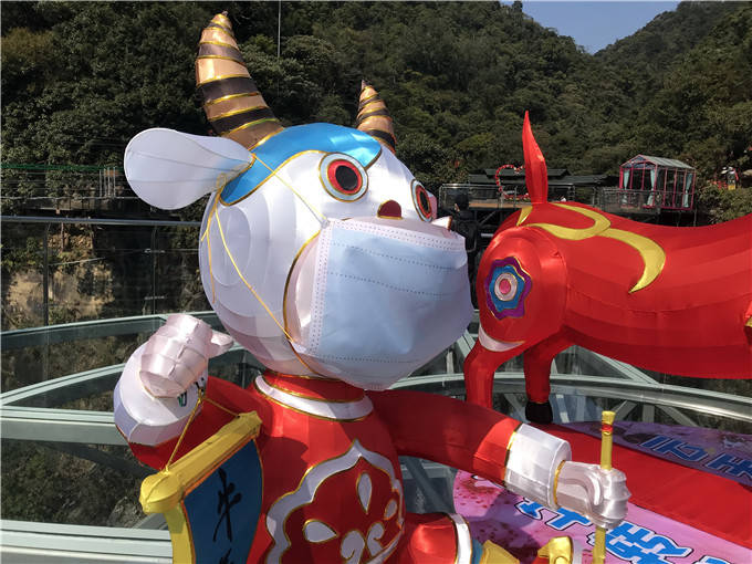 广东景区给牛戴上口罩提醒游客春节出游要注意防护