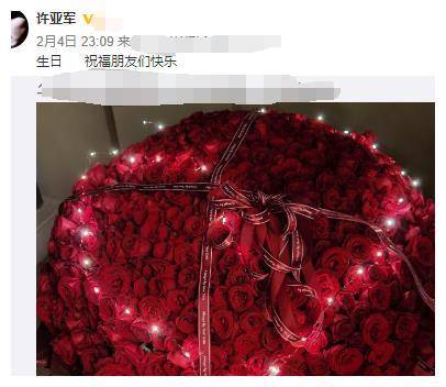 许亚军生日大秀恩爱 四婚娶小12岁娇妻 与何晴儿子颜值不如爸 许何