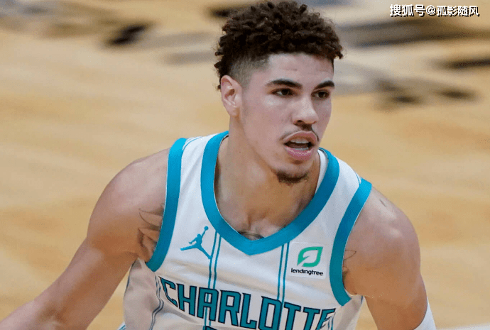 波尔排名_波尔山羊(3)