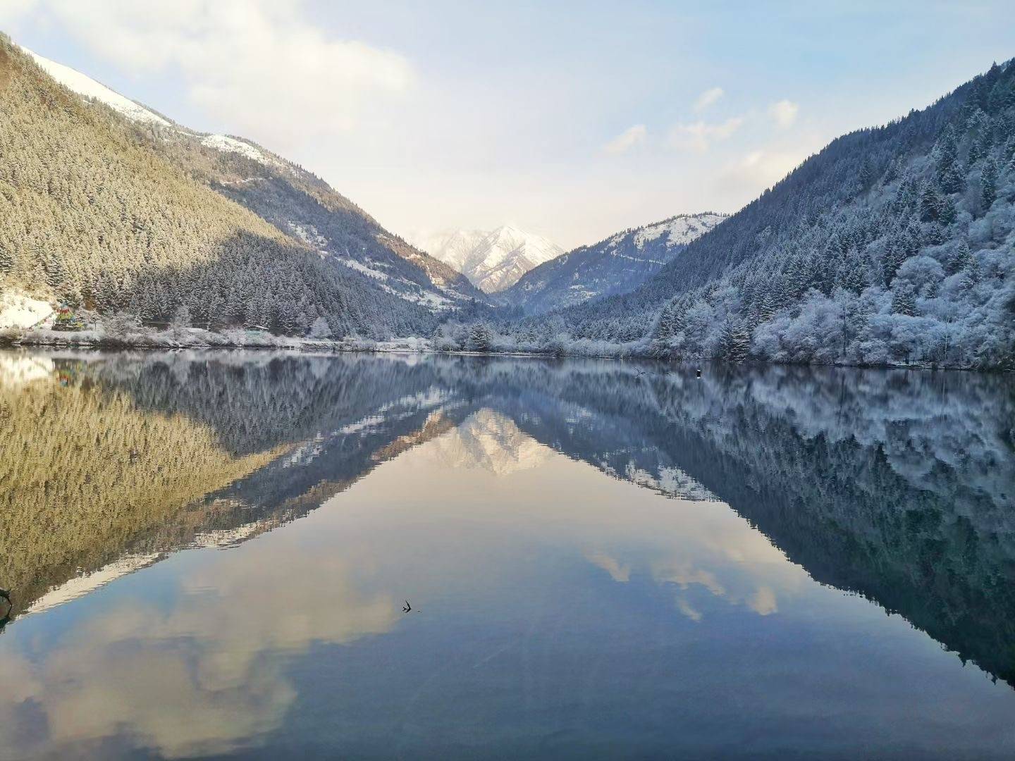 瑞雪兆丰年，大年初二达古冰川迎来牛年第一场雪！