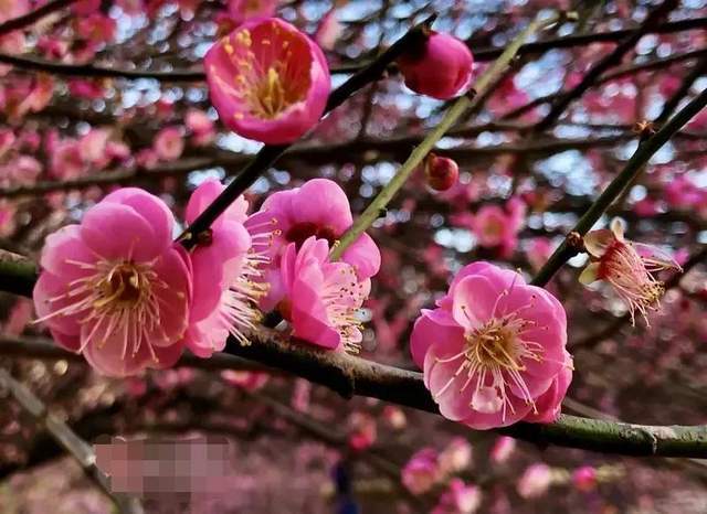 又是一年旅游季，来新疆旅游哪个季节最好？这取决于想看什么风景