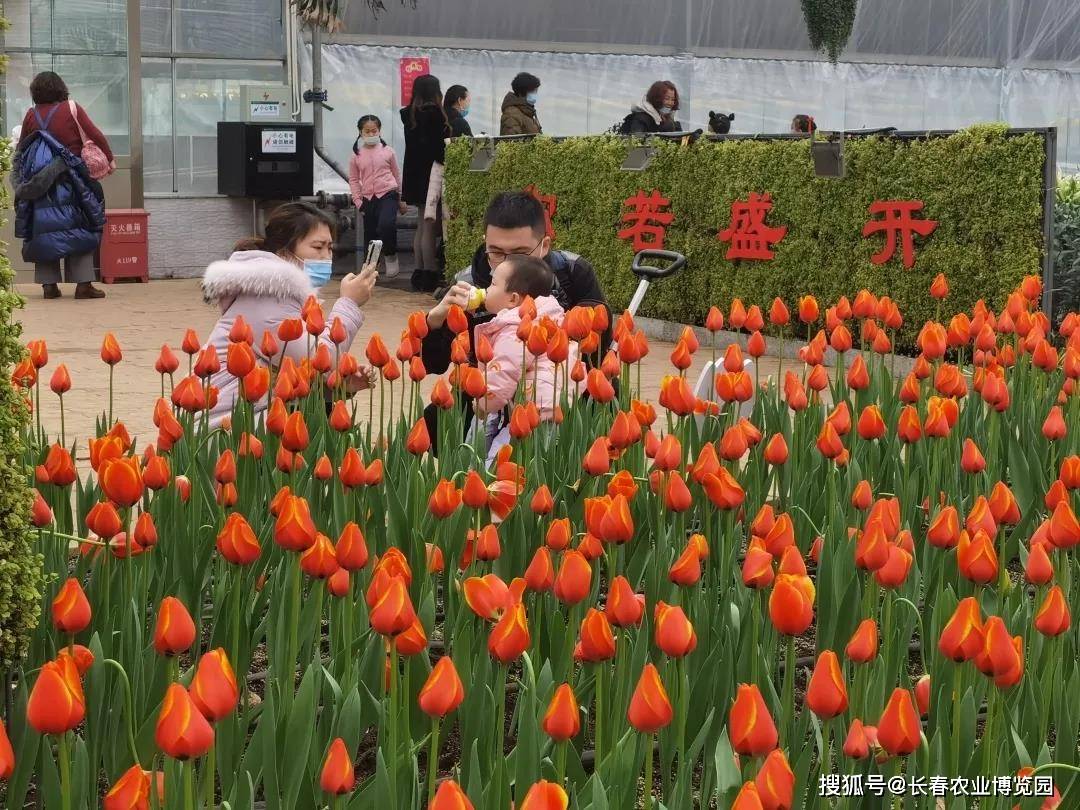 【新春游园会】情人节遇上春节 来鲜切花展示区赴一场浪漫之约