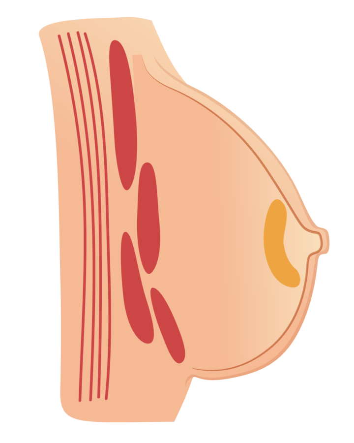 明明断奶了怎么还能挤出水?
