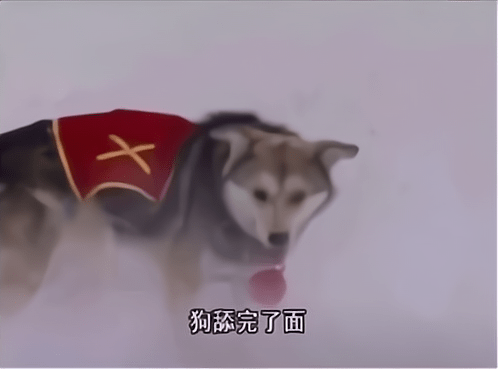 de1f7a9b1f7e485c9f3c36759efc8132.png