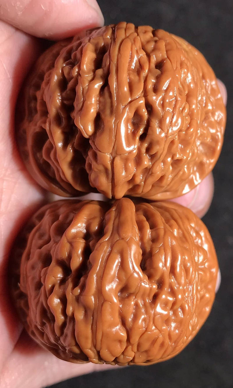 文玩核桃如何才能盘玩到极致颜值呢并不容易这些坎坷必须经历