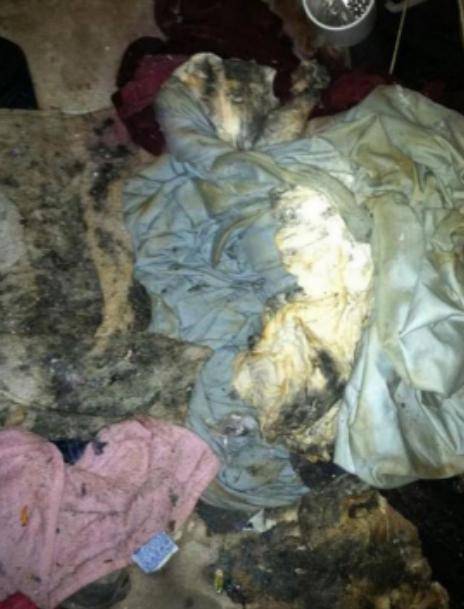 女子将5岁儿子虐待致死,孩子死前曾称:母亲不是故意伤害他