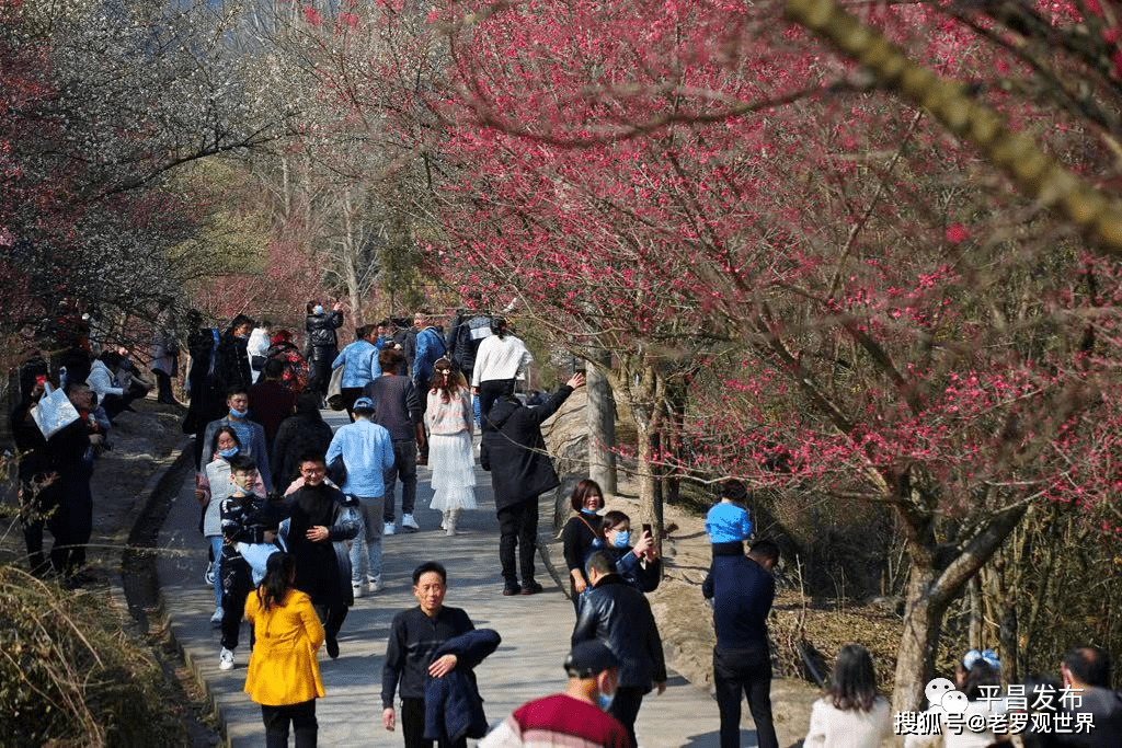 巴中花丛人口_巴中花丛镇美女