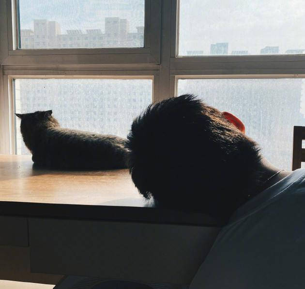 范世錡发布背影照