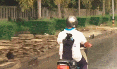 远远发现个骑摩托的小伙，身上的背包很特别，追上一看竖起大拇指