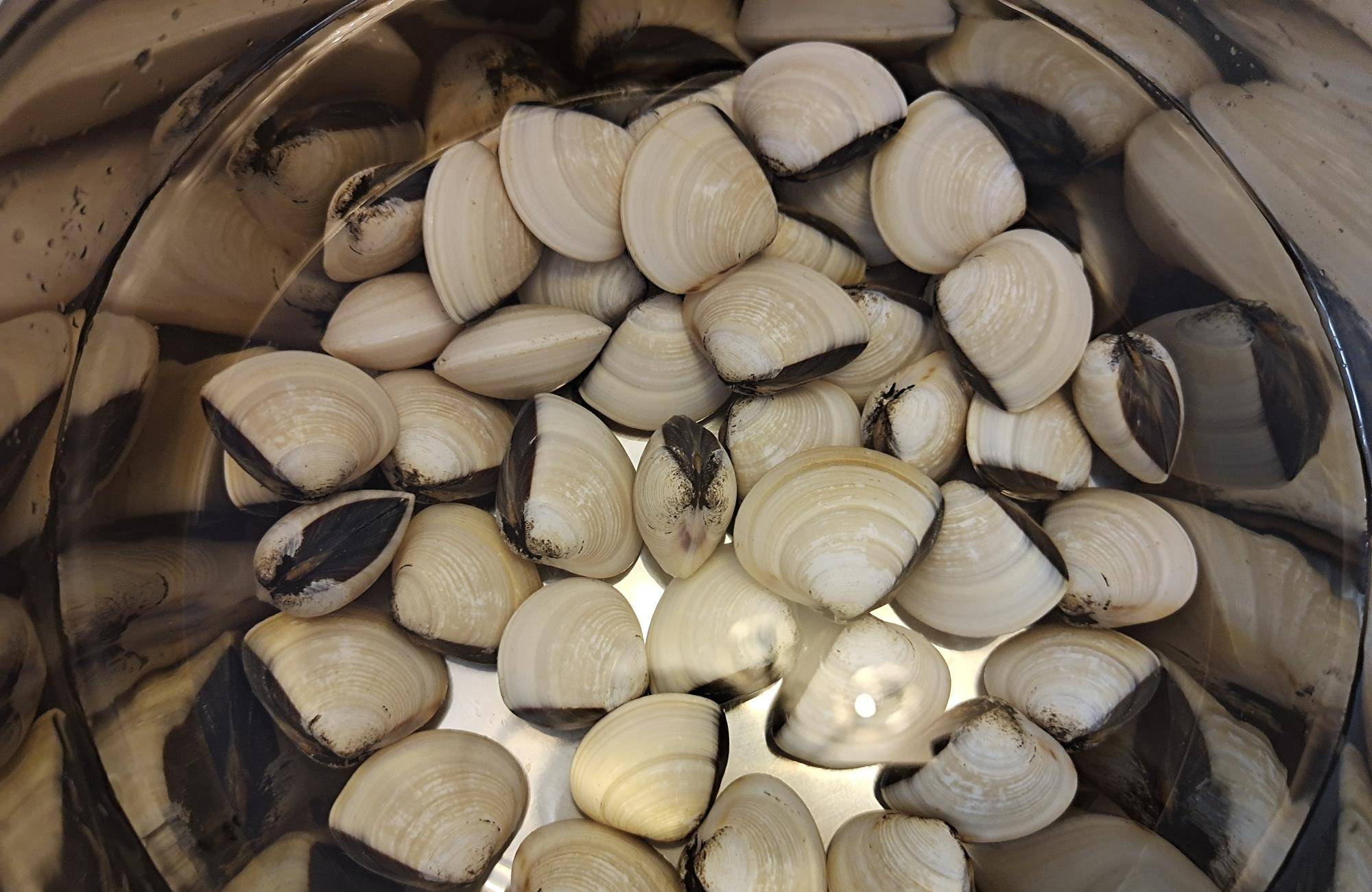 海南人最喜欢用这个熬汤,5块钱熬一大锅,汤鲜味美从不放味精_海白