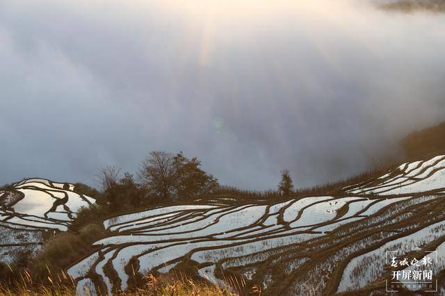 银波荡漾！云南元江县羊街、那诺万亩梯田进入最佳观赏期