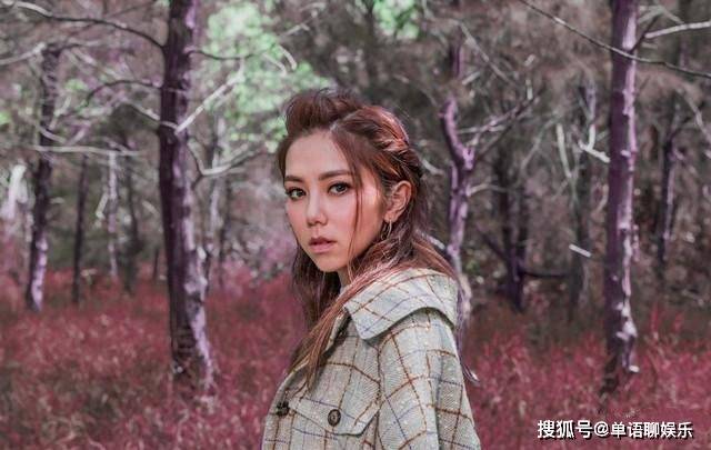 2020年流行歌曲排行榜_2020十大金曲出炉,潘玮柏第一邓紫棋第六,流量歌手没称霸