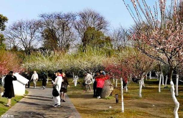 春节期间，荆州中心城区6大公园迎客56万人次