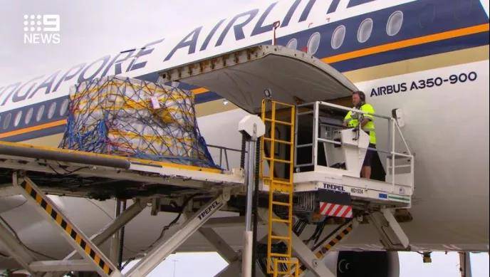 14万剂辉瑞疫苗抵达澳洲!下周开始正式接种!