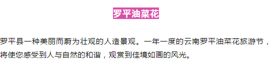 罗平油菜花、东川红土地、建水古城、、普者黑、元阳梯田云南8日行摄之旅