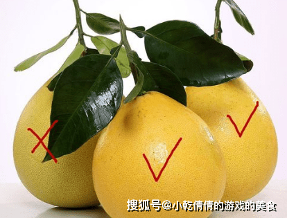 10888afa6d194dec8ea846c4bf3dfefd.png