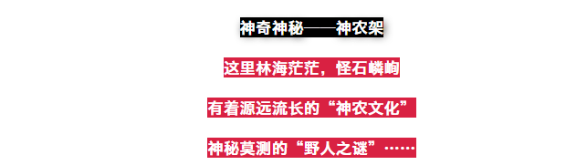 【蜂摄 · 摄影分享】探秘神农架、梦幻大九湖、武当山太极功夫，6日摄影团！