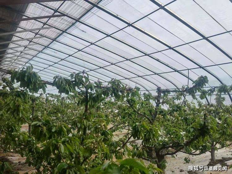 宏德股份IPO：存应收账款及合同资产发生坏账