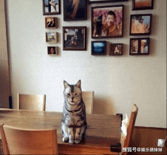 怎么收拾家更漂亮 15c34b7e7f2f459b94e278bcdc38b20c.png