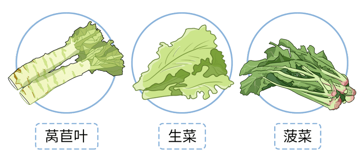 欧亿5平台开户-首页【1.1.7】