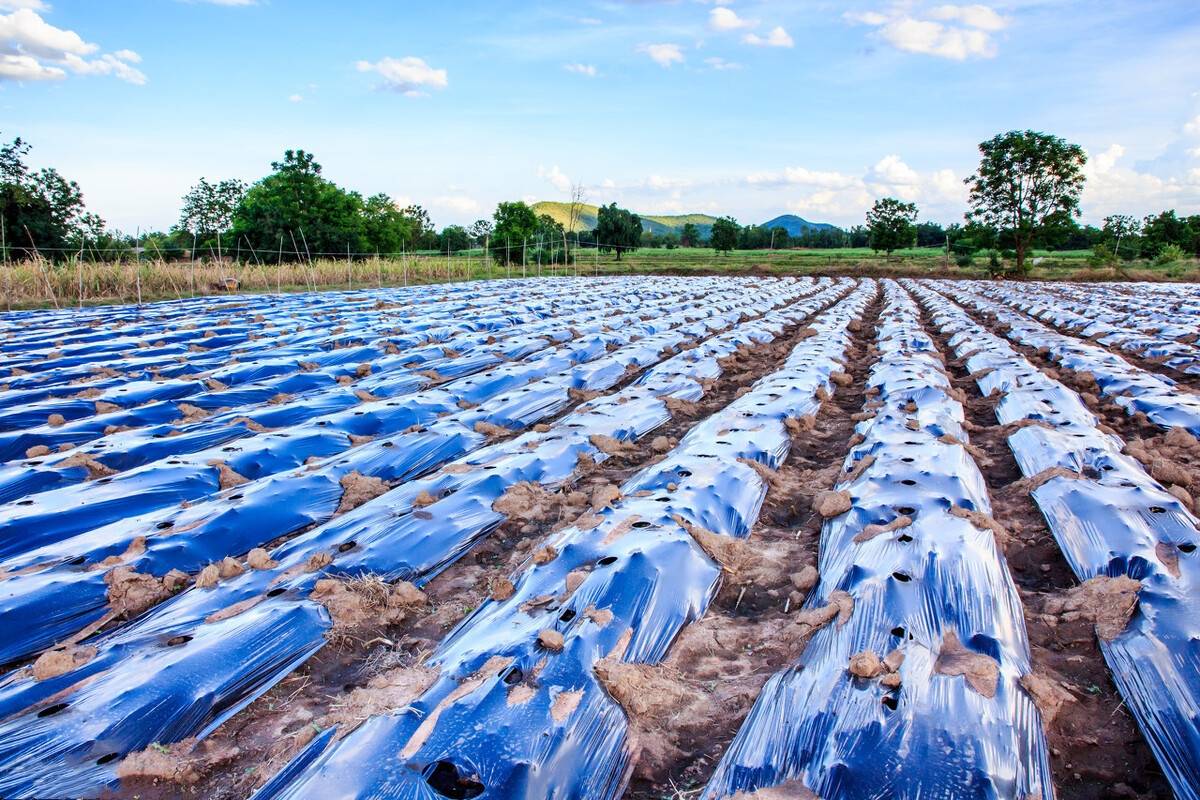 说普通地膜劣势,那可降解地膜有什么优势?