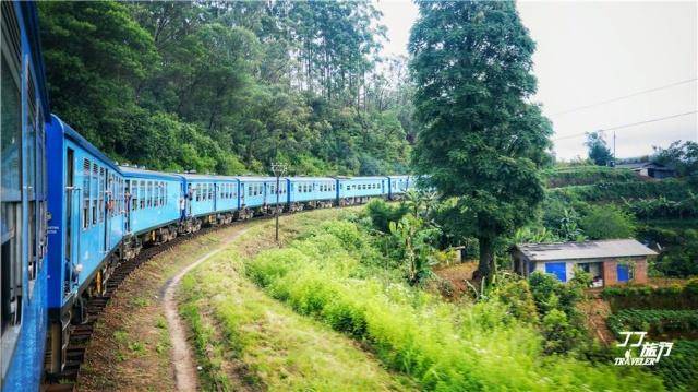 全世界最美的小火车原来在斯里兰卡，在国内是绝对无法感受到的