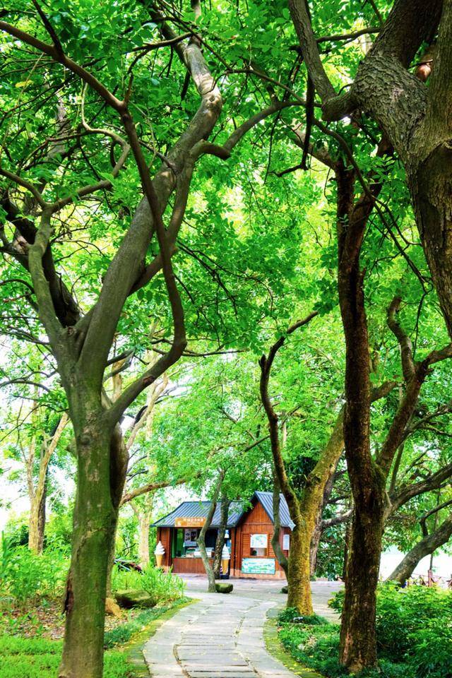 广东有个神奇的湿地公园，能看到“卧佛含丹”的壮观景象，想看吗