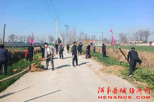 新春添新绿叶县掀起植树热潮