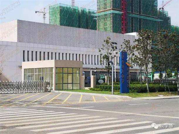 合肥顶尖中学之四十八中全面解读带你详细了解本部及各分校