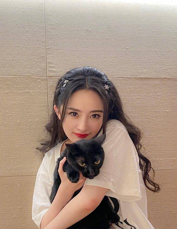 杨幂晒出营业照!抱着猫咪卖萌,网友:衣服却成"焦点"!