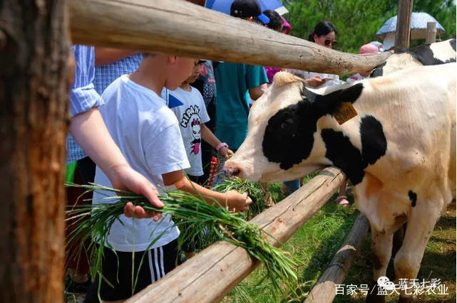 休闲农业和农庄农场的十大难题，如何解决？（蓝天七彩）