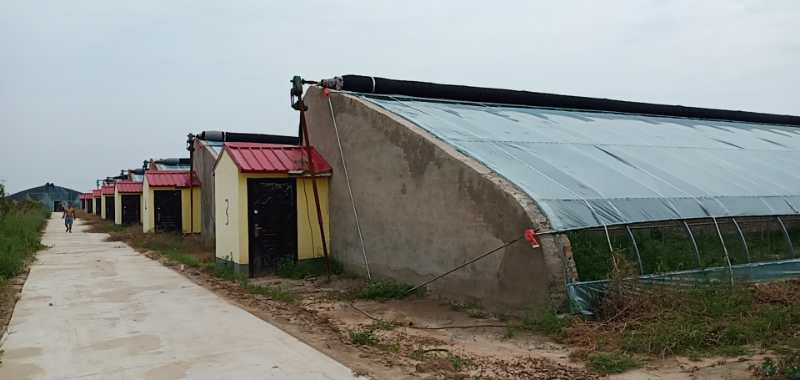 棚膜等材料组成,其中棉被是很重要的一个组建,对棚内作物起着保温的