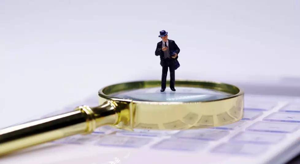 德固特选择性披露竞争对手情况 或掩饰毛利率偏