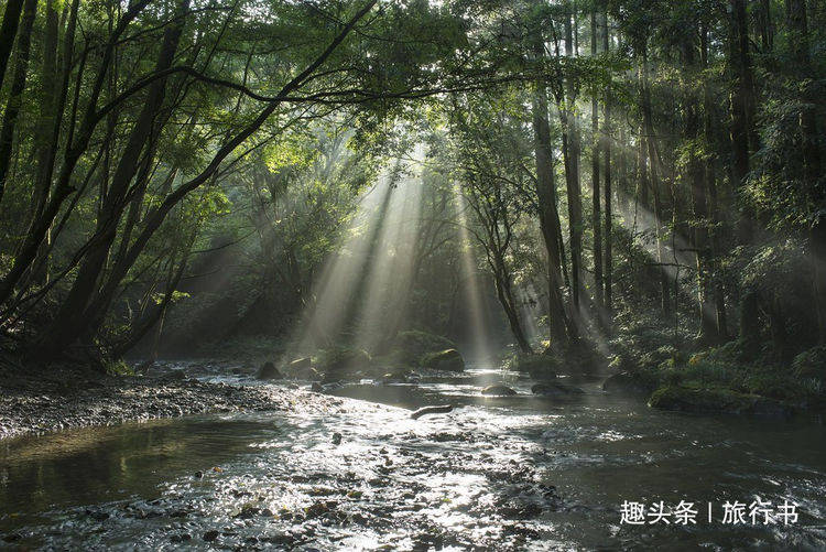 日本鹿儿岛，是一座什么样的“神仙岛”？