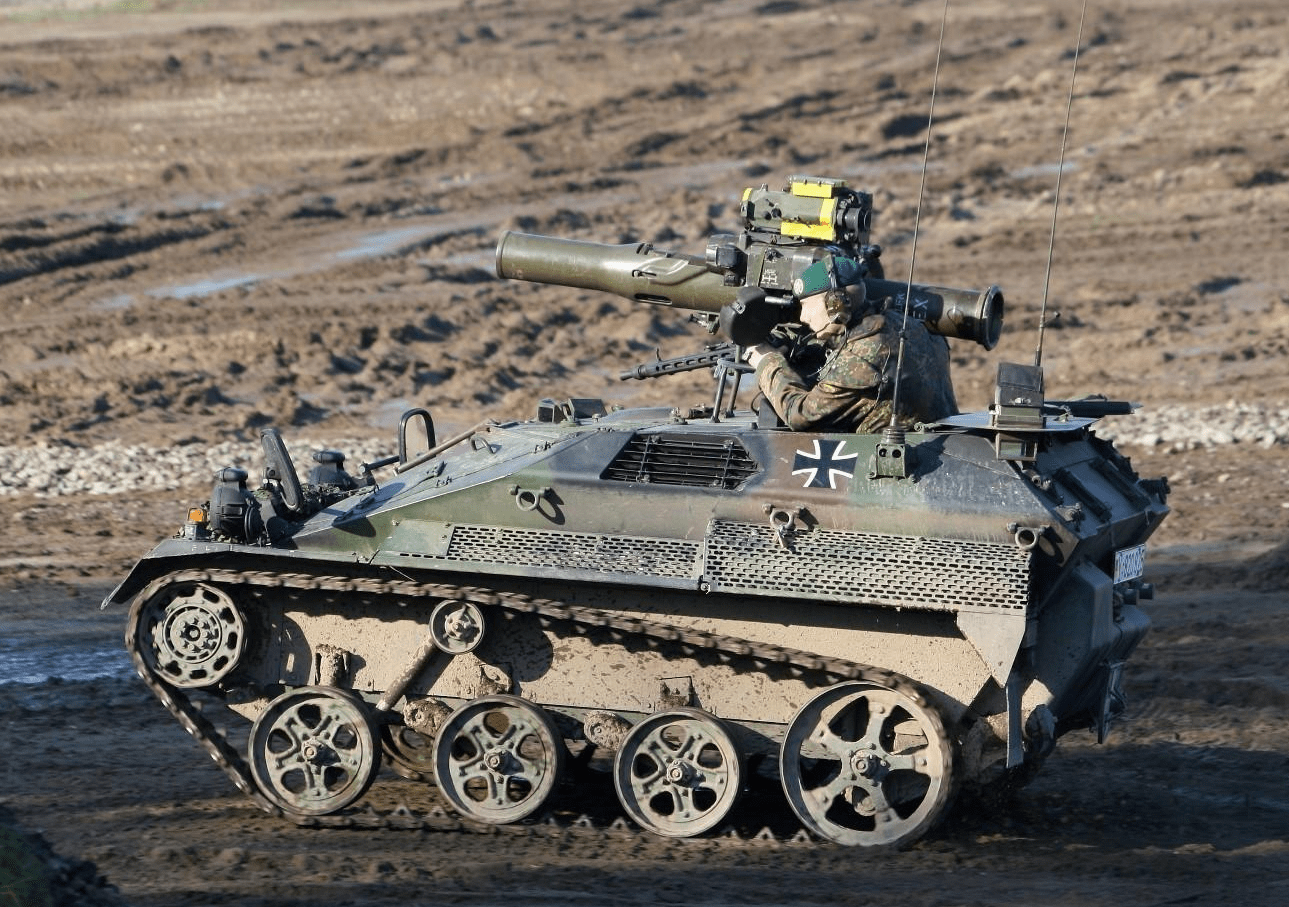 可以飞行的战车鼬鼠体型虽不及私家车但十分彪悍勇猛