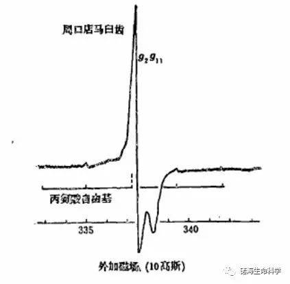 样品|电子顺磁共振波谱仪（EPR）应用丨地质测年