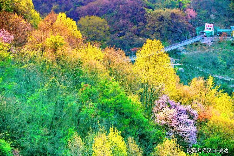 美图让人醉木兰外婆家春来去赏花武汉木兰天池山花烂漫春色满园
