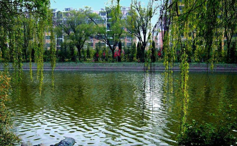 山东一大型公园走红，人称青岛“后花园”，门票免费不输大明湖