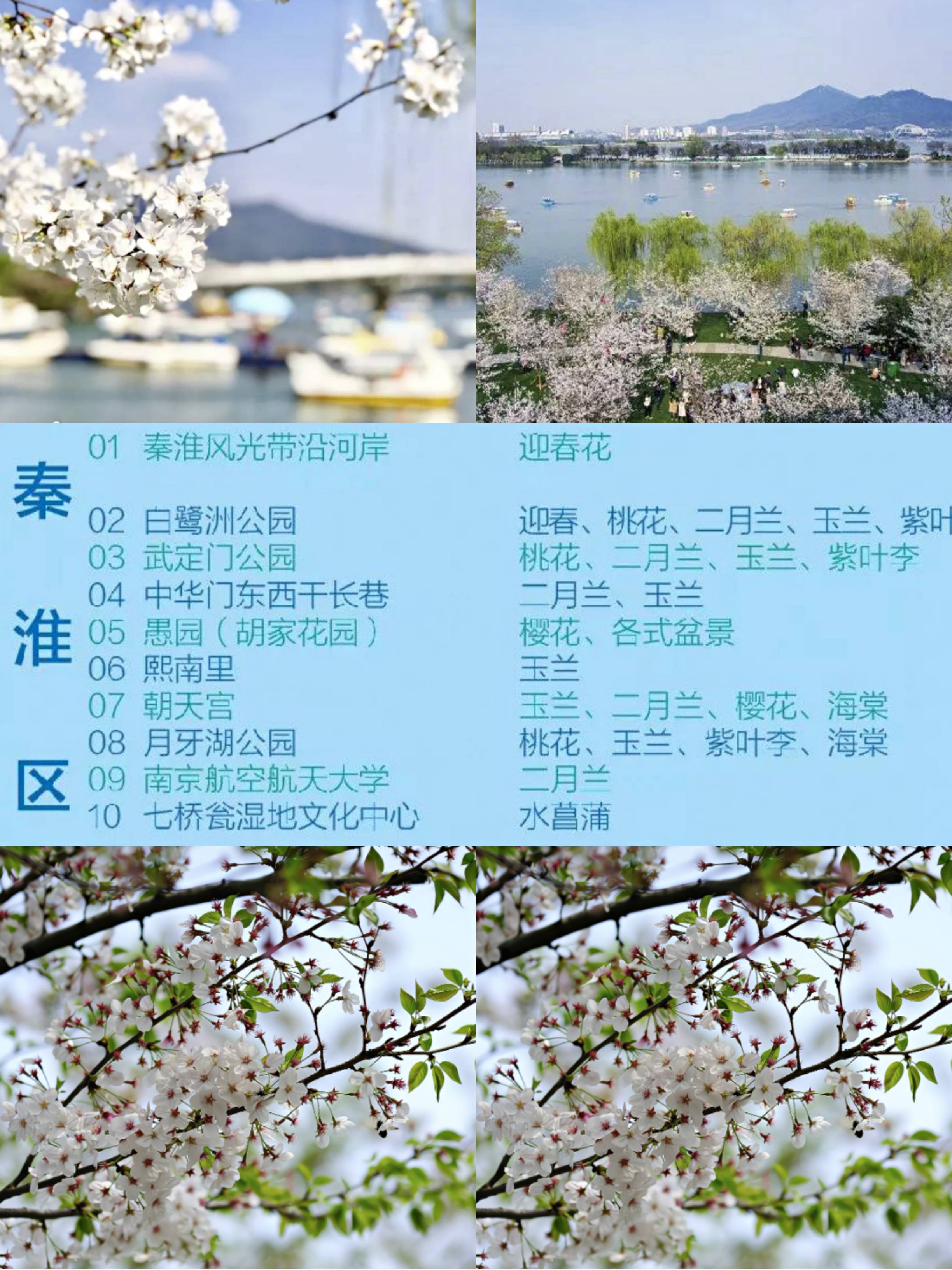 南京旅游春天赏花景点地图南京春天打卡拍照公园