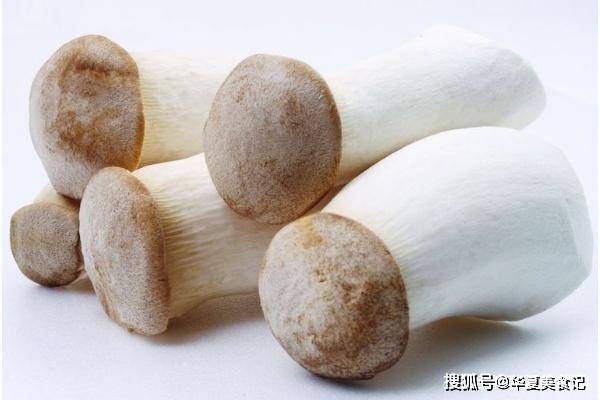 鸡腿菇怎么切才好吃 e76ffed1d6374b0c8782541cfedd1447.jpeg