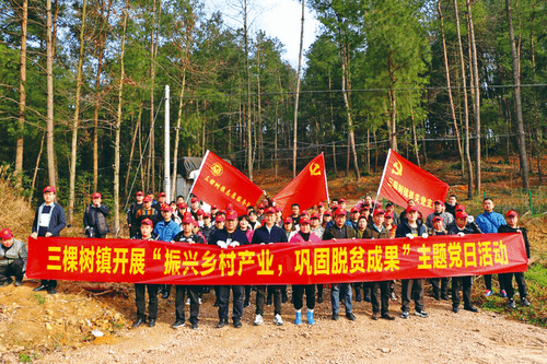 三棵树镇以"振兴乡村产业 巩固脱贫成果"主题党日活动助力春耕备耕