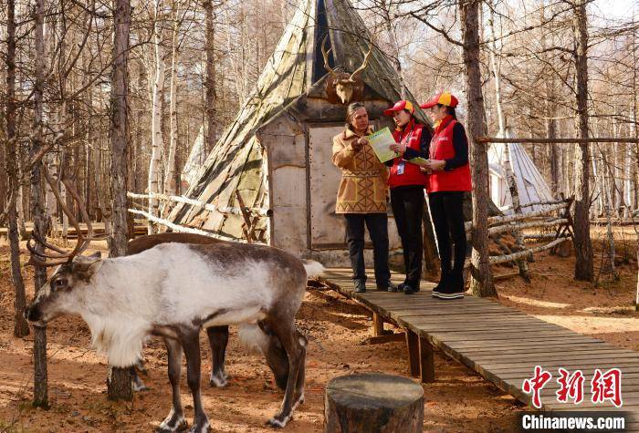 中国最后一支使鹿部落：解锁神秘活化石的“小康密码”