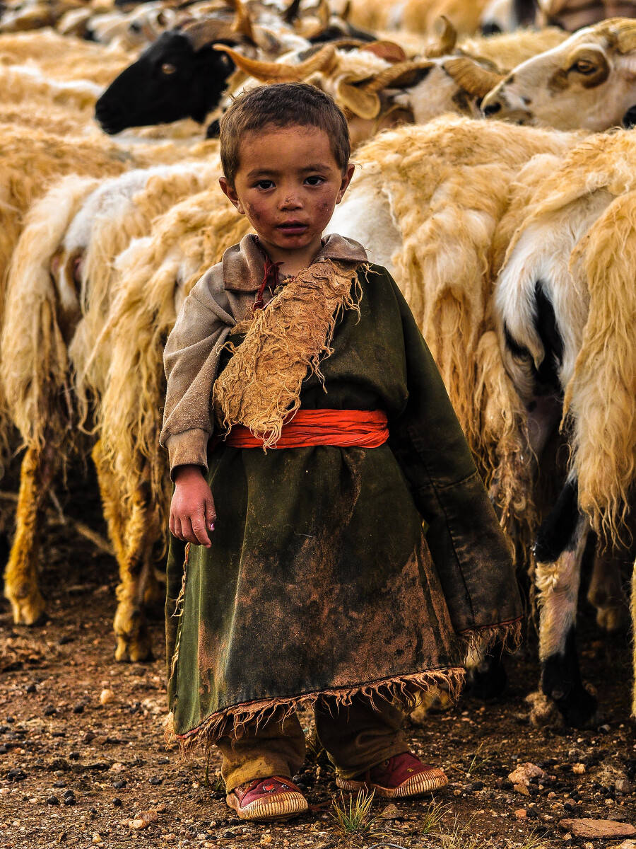 世界名校和清华北大的博士都去教中小学了,这算不算学历浪费_硕士