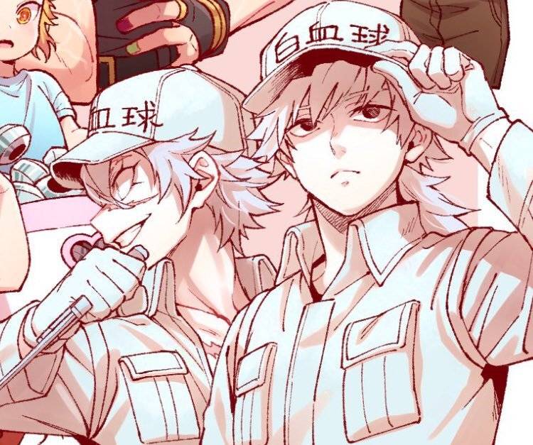 原创鬼杀队客串工作细胞血小板祢豆子超可爱白细胞义勇帅爆