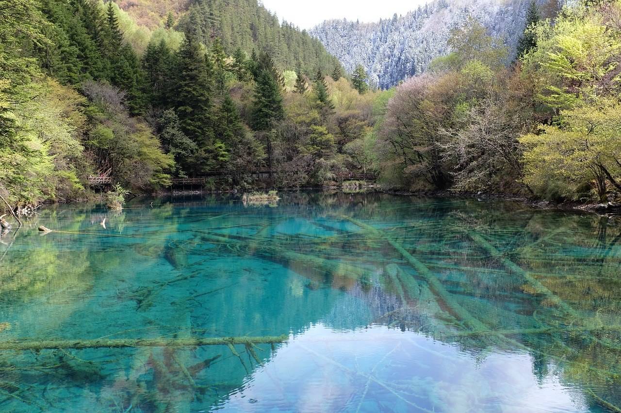 大美春日游山玩水 用眼睛记录下祖国的魅力河山 桂林旅游