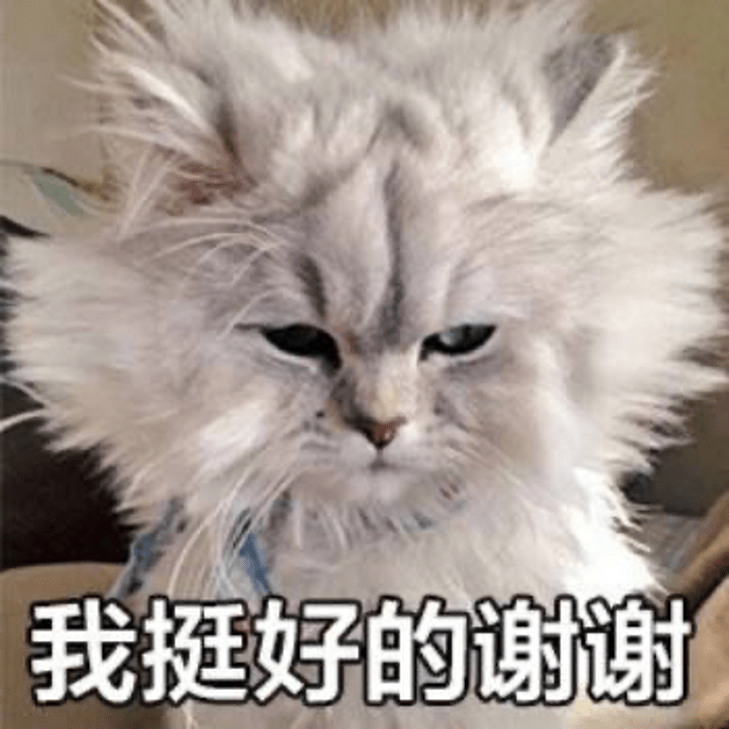 83dc2217f5994c43a685263f4dcdc6e9.png