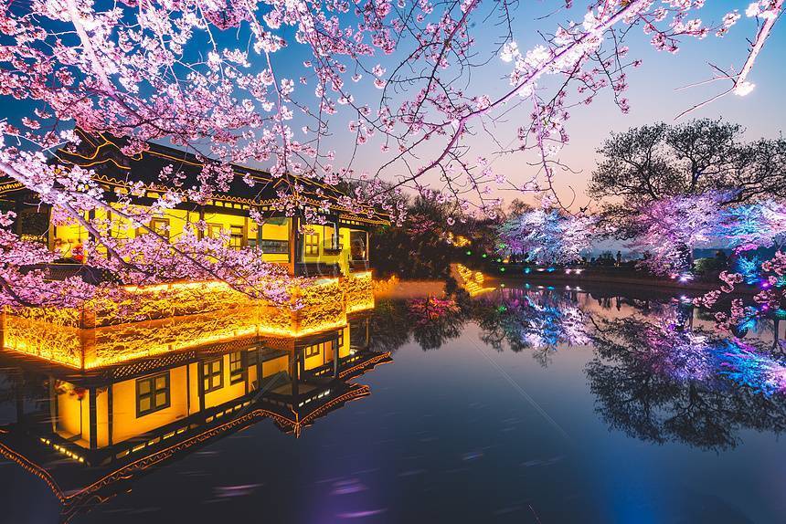 阳春三月樱花盛开美如仙境，在中国第一赏樱胜地遇见最美春天