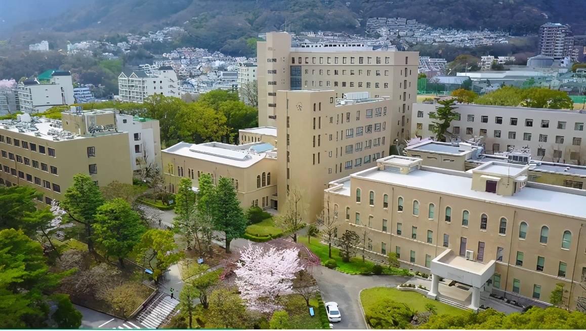 日本大学群 旧三商大 想学商科的看过来 学部