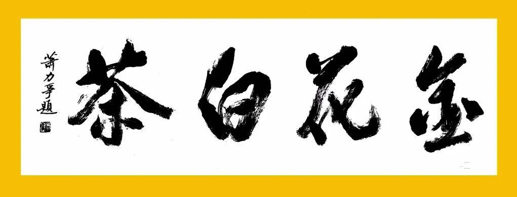 寿宁金花白茶招商签约仪式成功举办金花白茶研究院正式落户寿宁