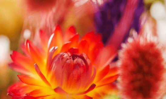 2777d33088dc4aabbd480ee001d728f4.png